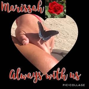 Meet your Posher, Diane